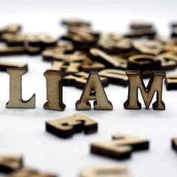 lettre decorative liam