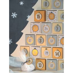 calendrier de l'avant case