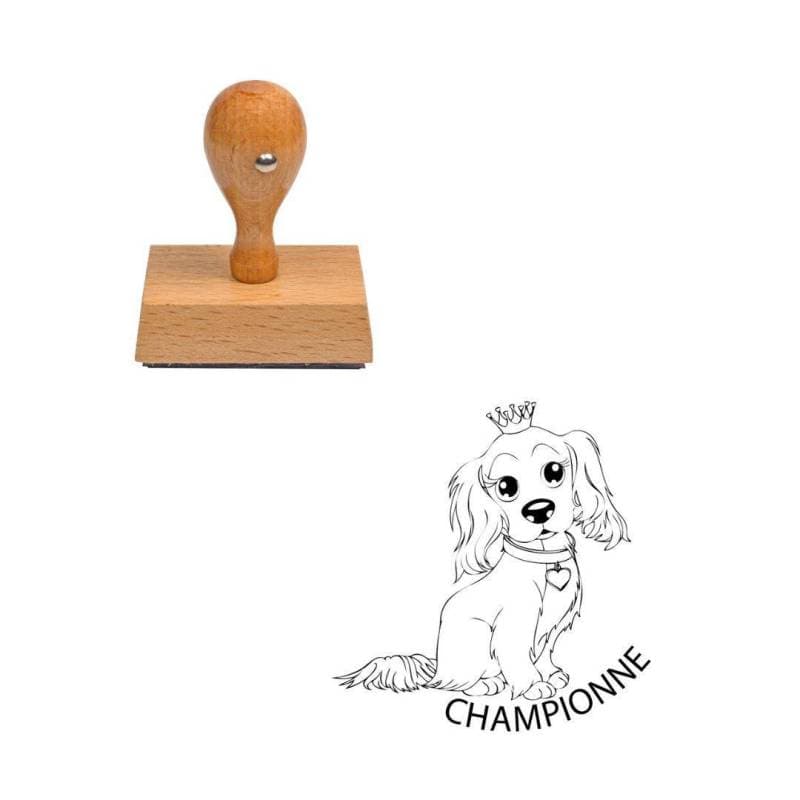 Tampon enseignant championne n°287