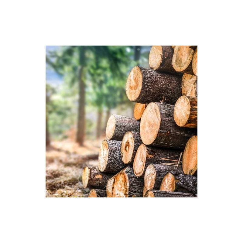 encre pour marquer le bois