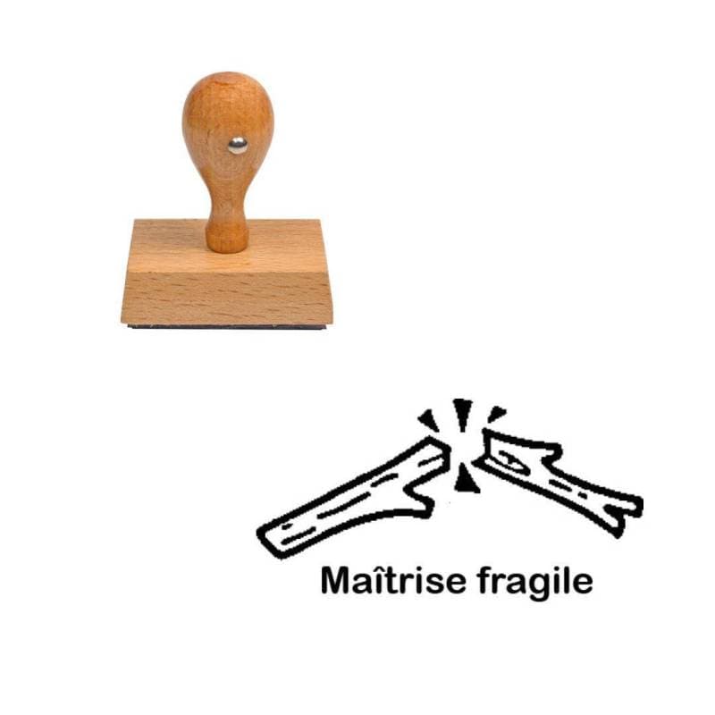 Tampon enseignant maîtrise fragile bâton cassé n°234