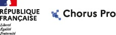 Paiement accepté par Chorus Pro